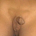 inmemis testis