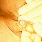 inmemis testis